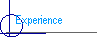 Experience